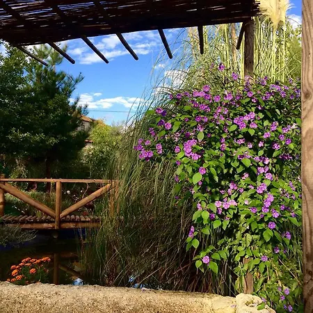 Moinhos Do Pisao Povoa Dao