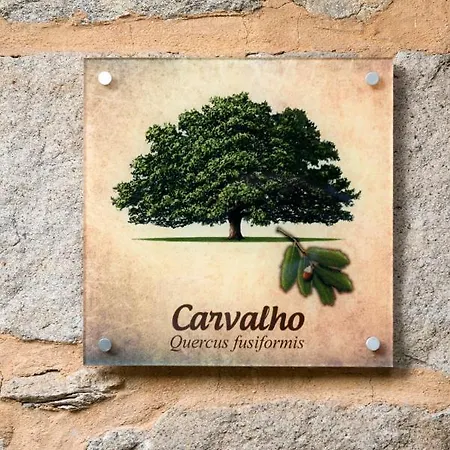 Casa rural Moinhos Do Pisao *