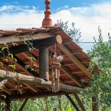 Moinhos Do Pisao Povoa Dao