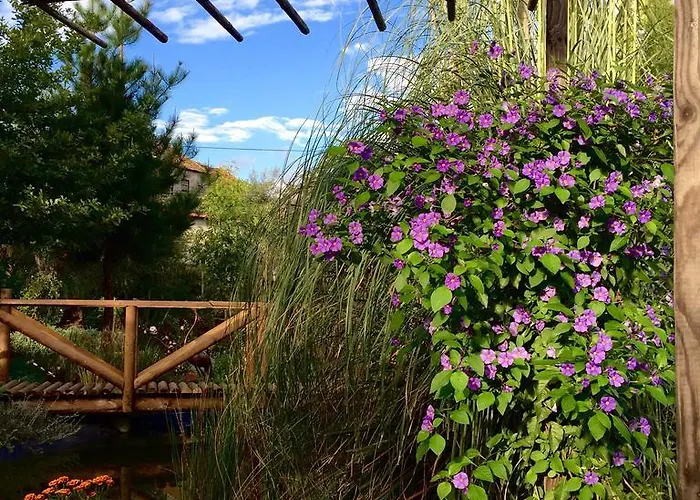 Moinhos Do Pisao Povoa Dao