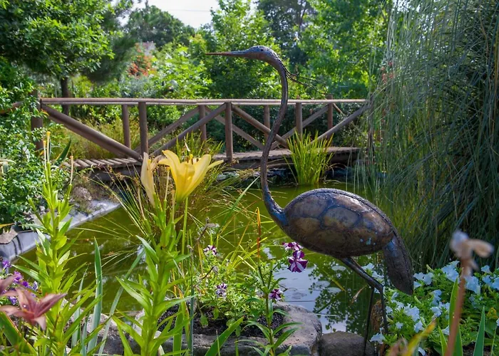 Moinhos Do Pisao Povoa Dao