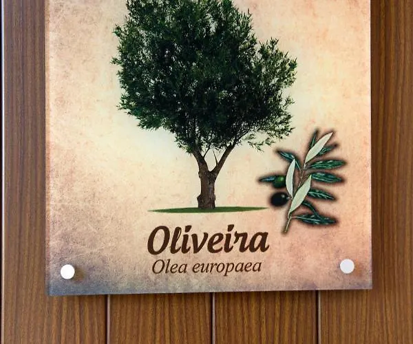 Moinhos Do Pisao Летний дом *