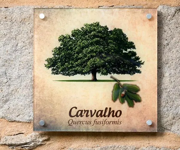 Casa de Campo Moinhos Do Pisão *