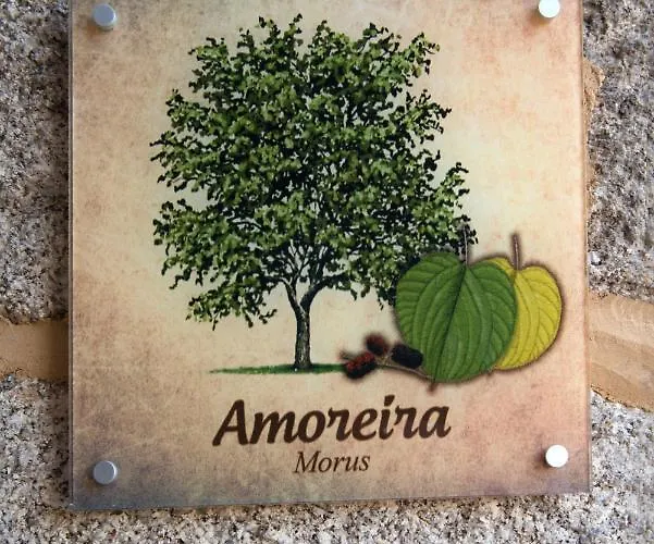 Casa de Campo Moinhos Do Pisão *