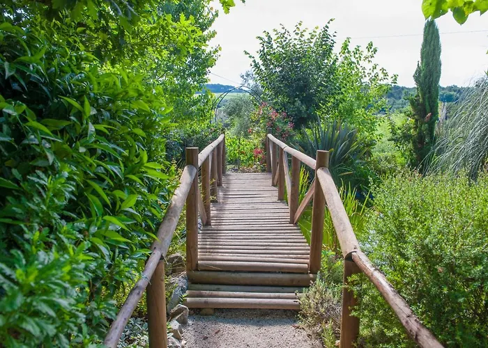 Летний дом Moinhos Do Pisao Povoa Dao