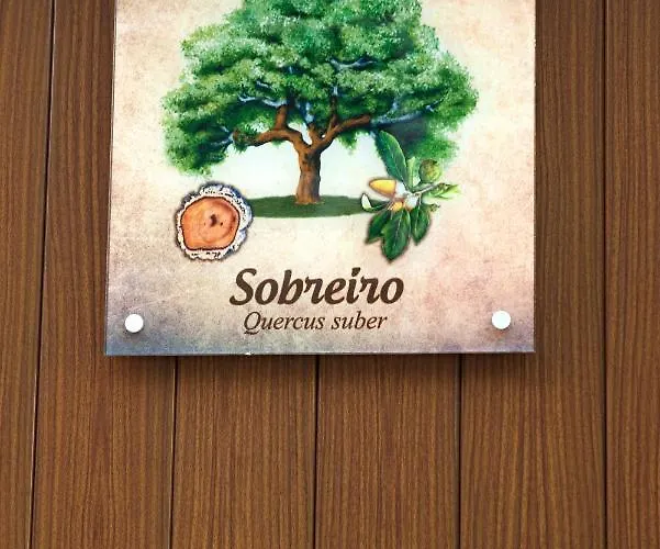 Moinhos Do Pisao * Povoa Dao