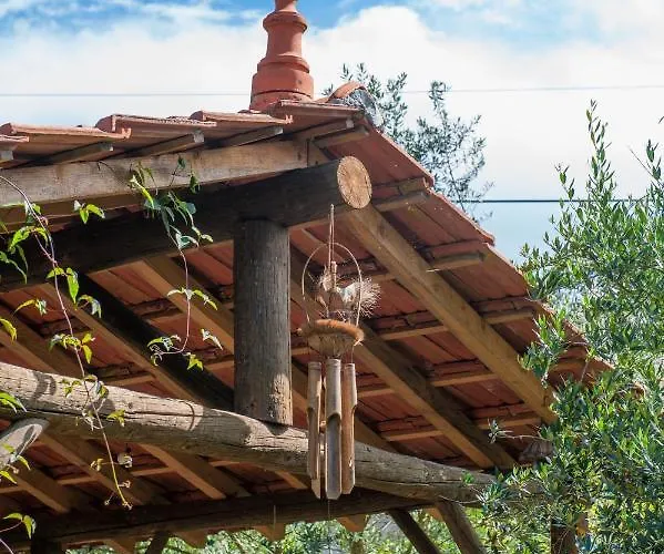 Moinhos Do Pisao Povoa Dao